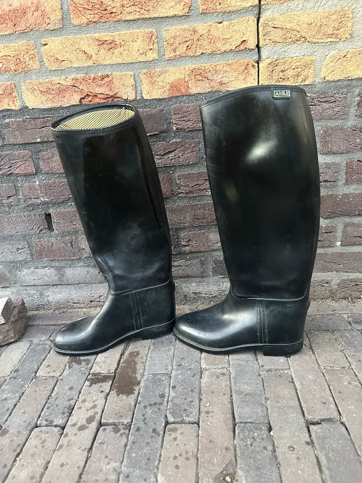 Paardrijlaarzen, Dressuur, Overige typen, Aigle, Ophalen of Verzenden