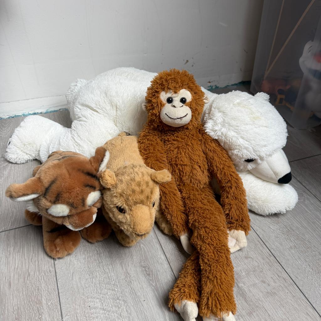 Safariknuffels, Ophalen of Verzenden, Overige typen