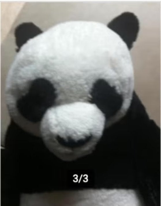 Reuze pandabeer knuffel zwart/wit Lengte 65 cm, Ophalen of Verzenden, Meerkleurig, Overige typen