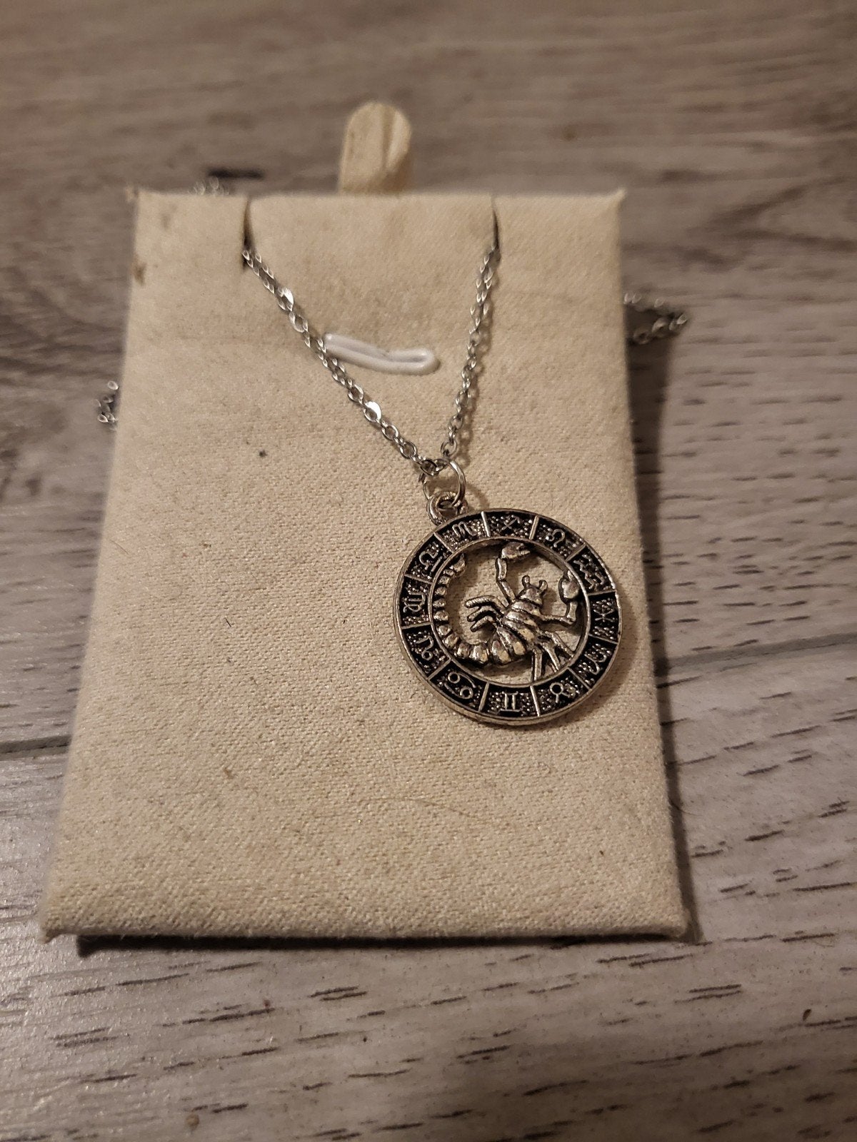 Nieuwe zilverkleurige ketting met schorpioen hanger, Nieuw, Ophalen of Verzenden, Zilver, Overige materialen