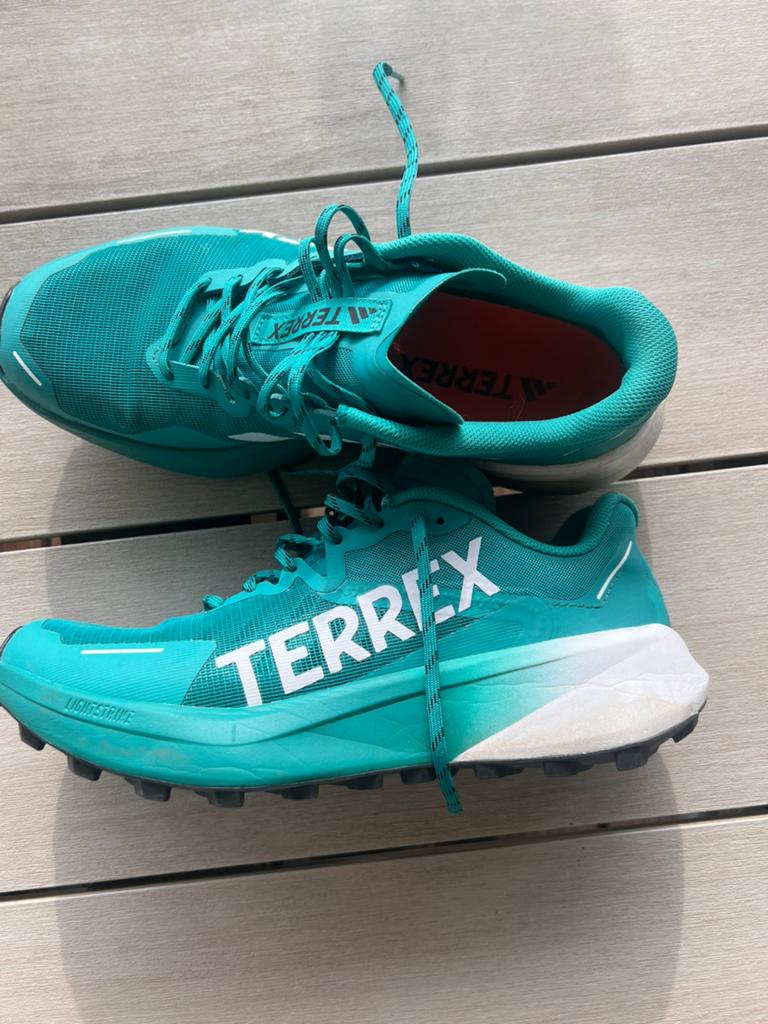 Adidas Terrex, Ophalen of Verzenden, Gebruikt, Overige typen, Adidas