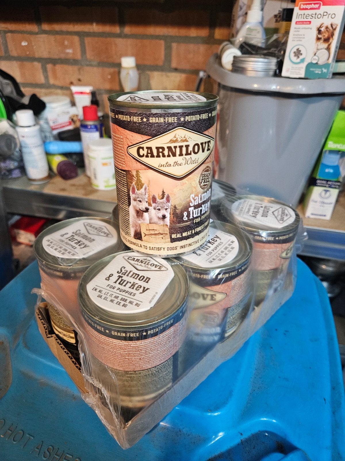 7 Carnilove Into The Wild .Salmon & Turkey, Ophalen, Hond