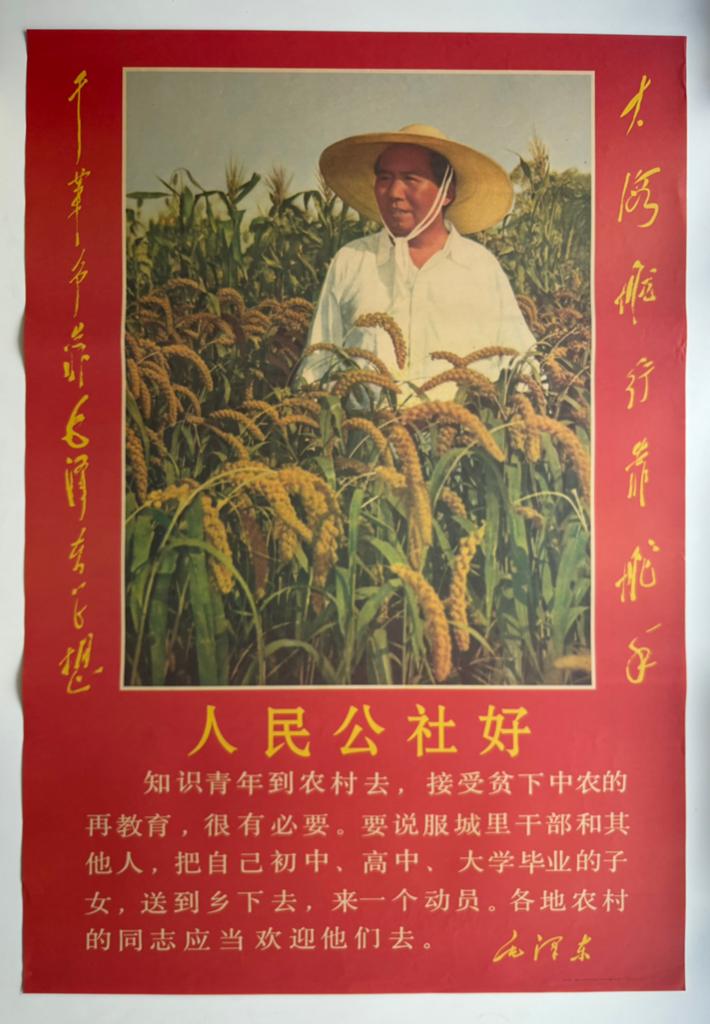Originele Chinese propaganda poster #54 - Mao in Henan, Ophalen of Verzenden, Gebruikt, A1 t/m A3