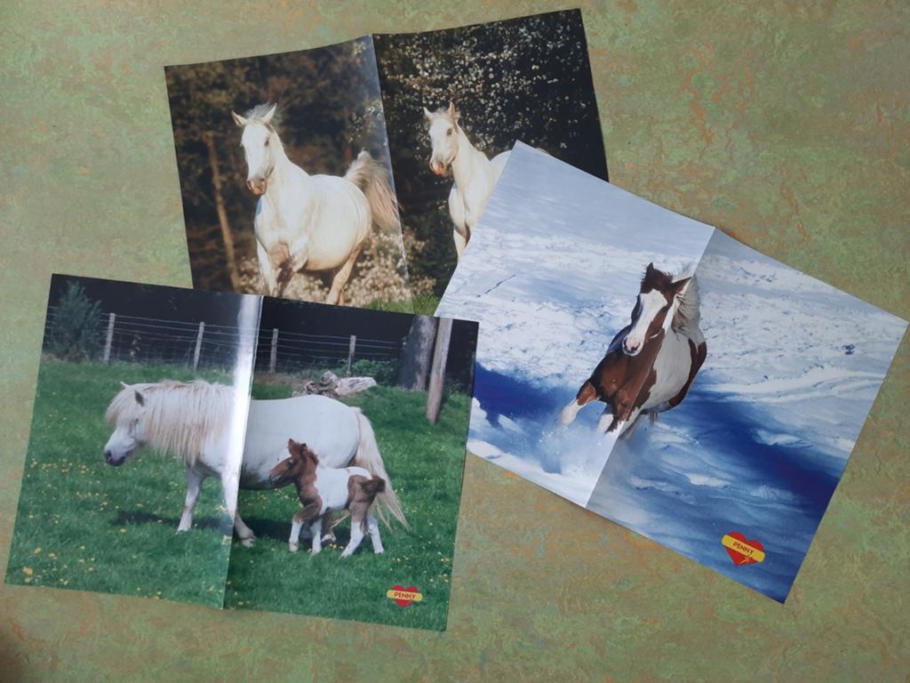 Posters paarden, Ophalen, Gebruikt, A1 t/m A3, Overige vormen