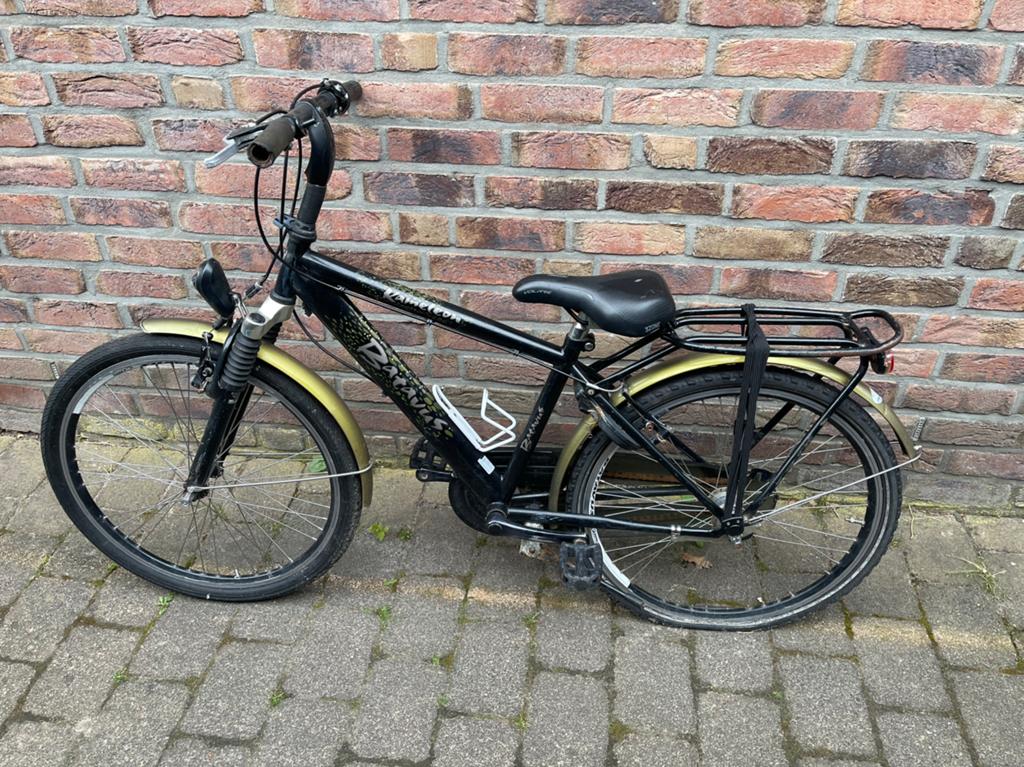 Batavus Kameleon, Ophalen, Gebruikt, 24 inch