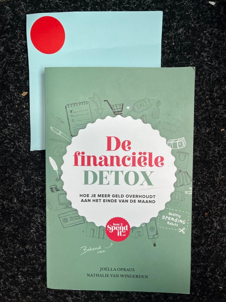 De financiële DETOX - Hoe je meer geld overhoudt, Ophalen of Verzenden, Zo goed als nieuw, Geld en Beleggen
