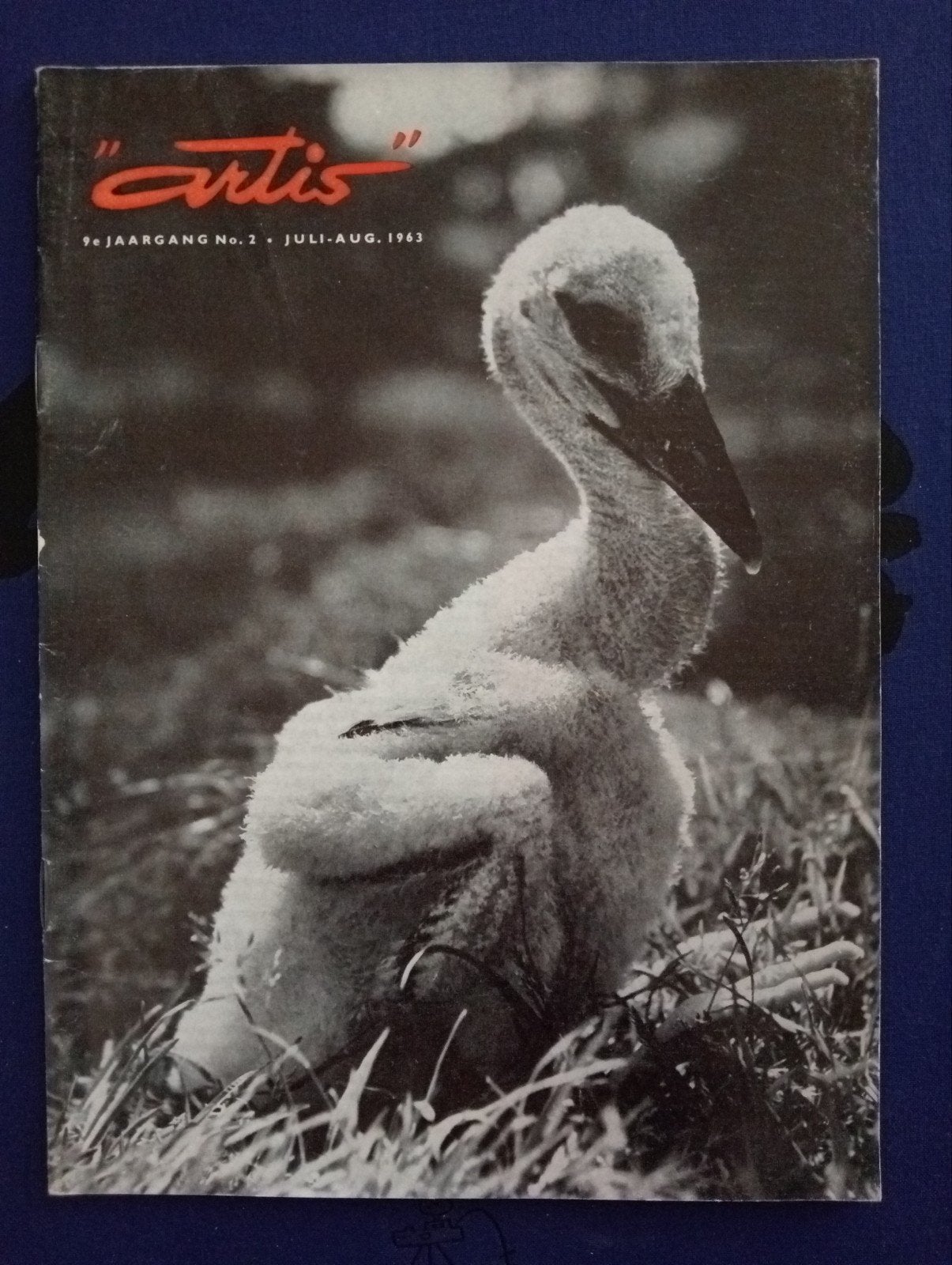 Artis Magazine Juli-Aug 1963 - Jonge Vogel, Ophalen of Verzenden, Gelezen, Wetenschap en Natuur