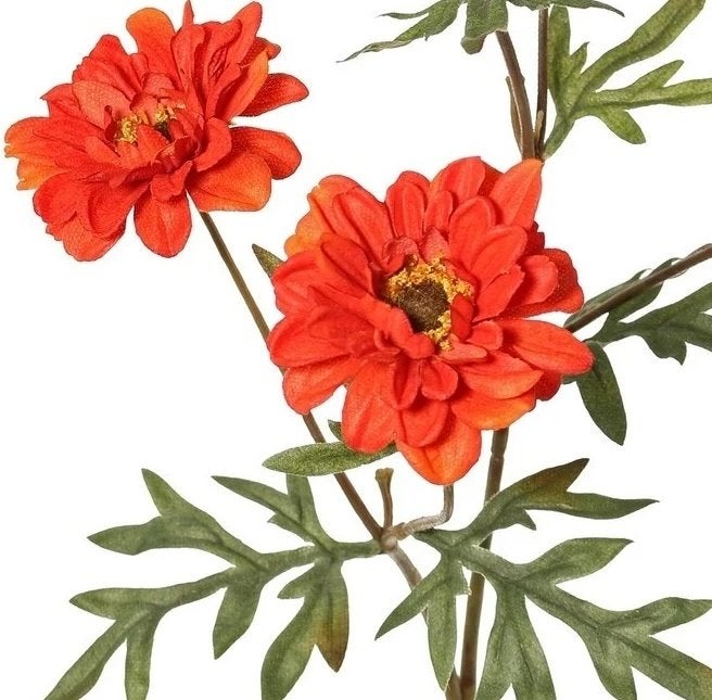 TOP ART - PRACHTIGE DAHLIA TAK, Ophalen of Verzenden, Nieuw