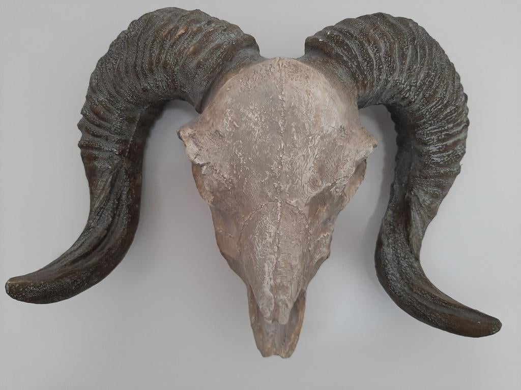 Wanddecoratie Ram., Ophalen of Verzenden