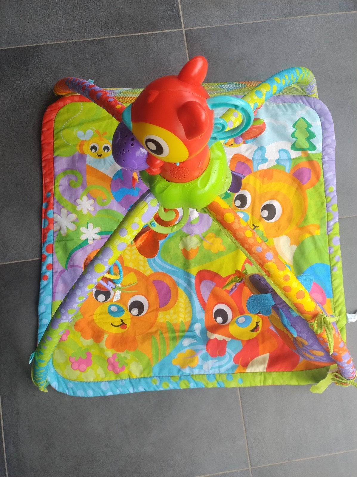 Playgro Speelkleed Babygym met Muziek en Licht, Ophalen, Gebruikt, Speelkleed, Met geluid