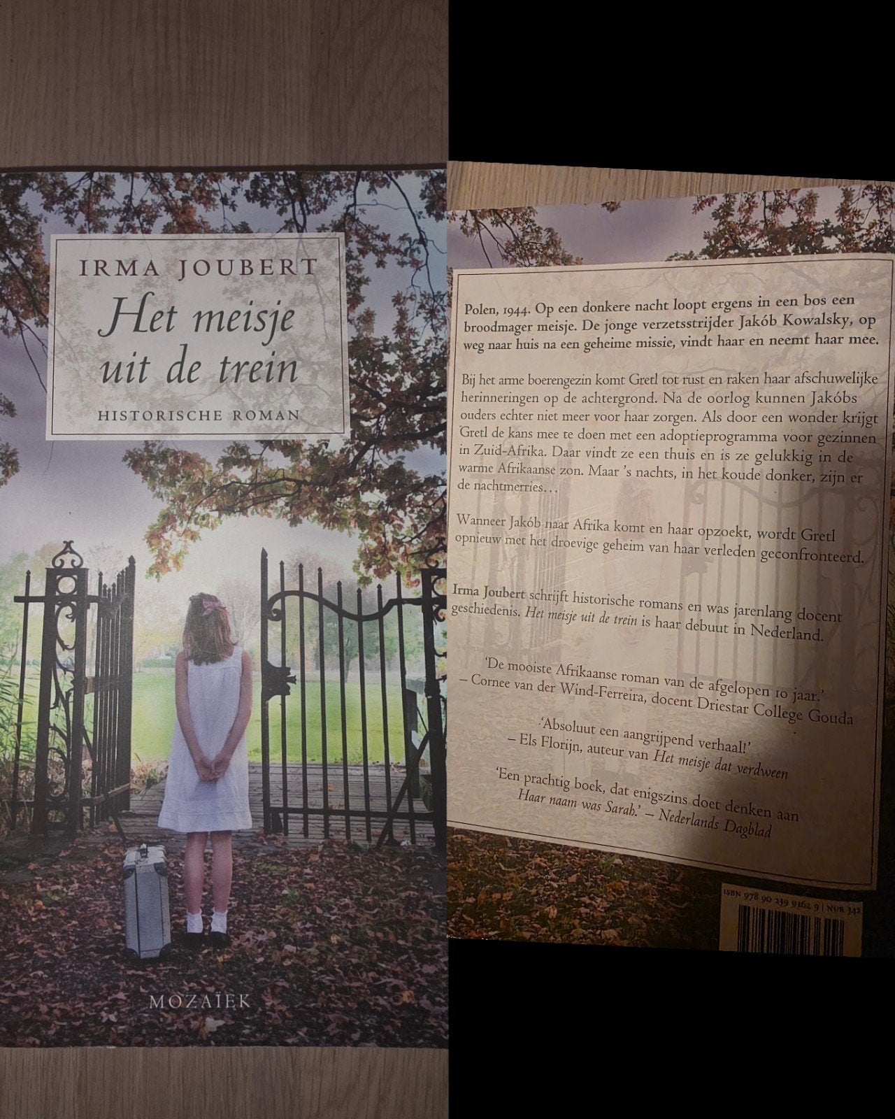 het meisje uit de trein Irma joubert, Boeken, Ophalen of Verzenden