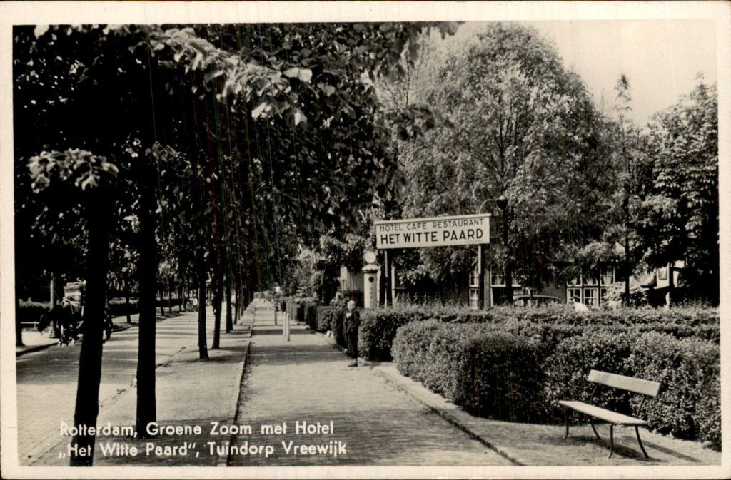 Rotterdam - Hotel Het Witte Paard - Groene Zoom, Ophalen of Verzenden, 1920 tot 1940, Gelopen, Zuid-Holland