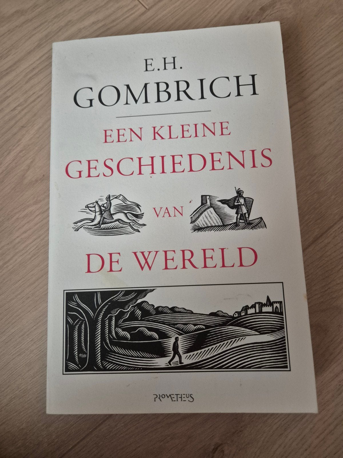 E.H. Gombrich - Een kleine geschiedenis van de wereld, Boeken, Overige gebieden, E.H. Gombrich, Ophalen of Verzenden, 20e eeuw of later