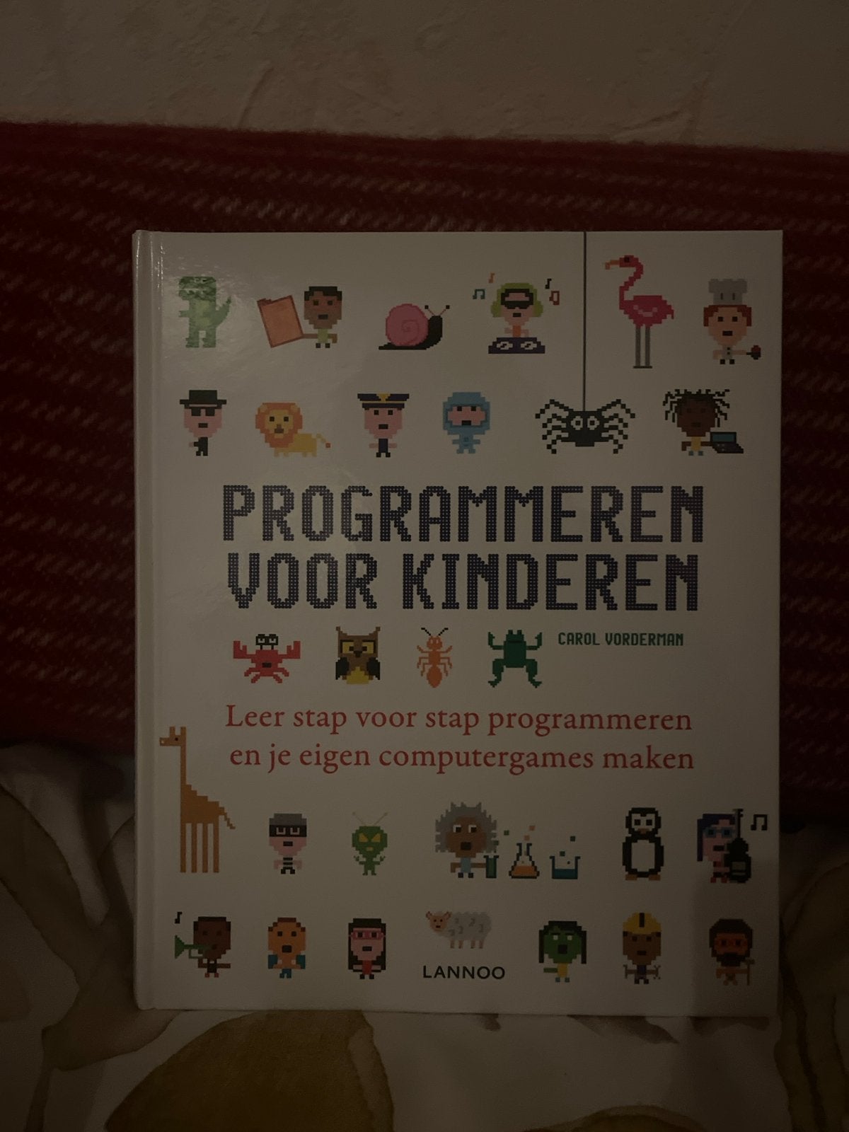 Programmeren voor Kinderen - Leer Scratch & Python, Ophalen of Verzenden, Zo goed als nieuw, Programmeertaal of Theorie