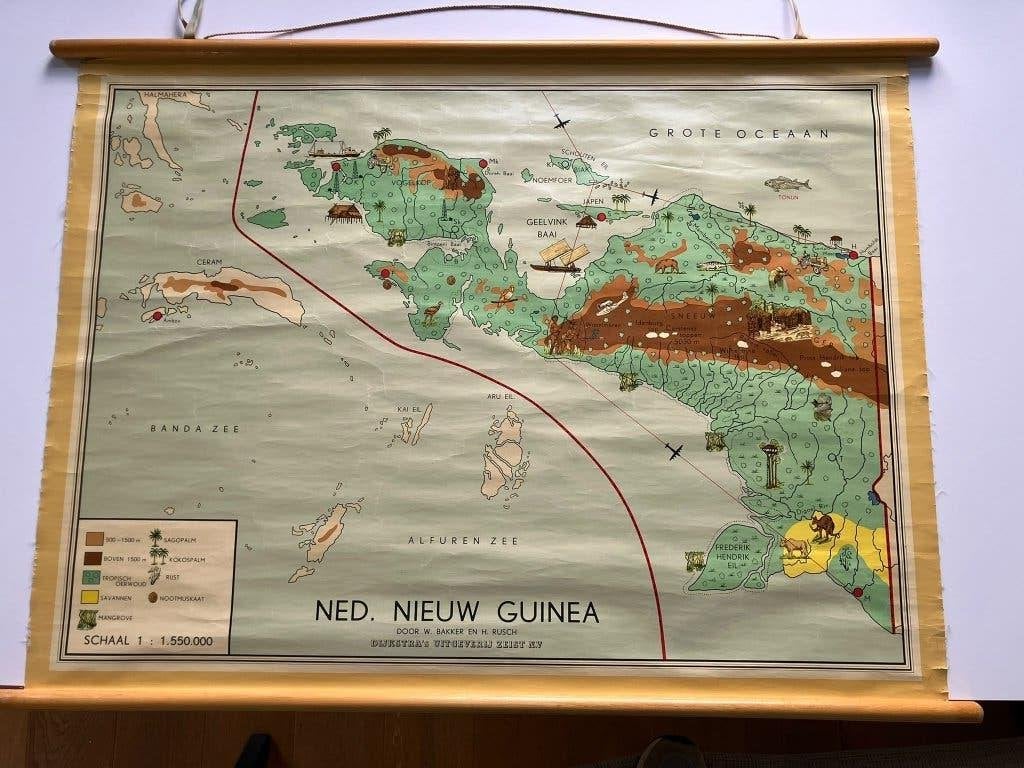 Schoolkaart Nederlands Nieuw-Guinea - origineel jaren ’50, Ophalen of Verzenden, Aardrijkskunde