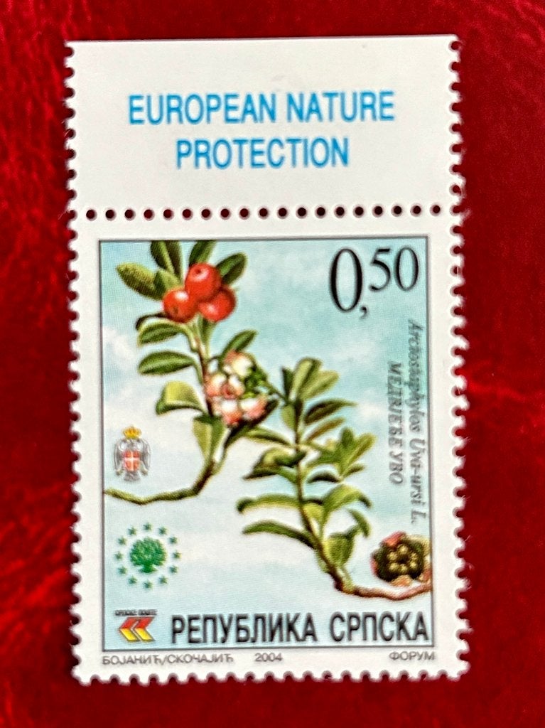 Berendruif - Bosnie Herzegovina - 2004, Verzenden, Overige landen, Postfris