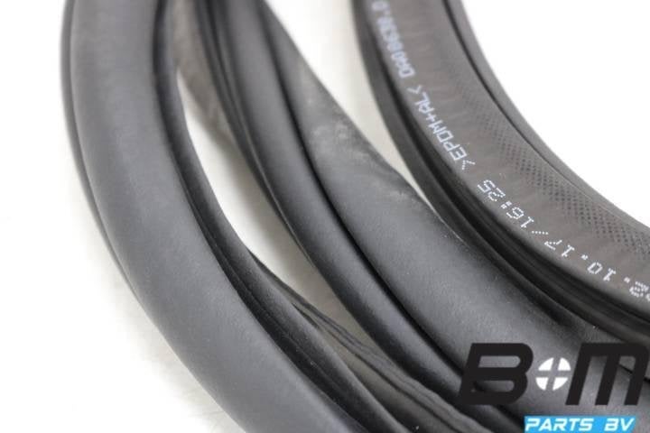 Portierrubber rechtsachter VW Tiguan 5NA 5NA867914B, Gebruikt