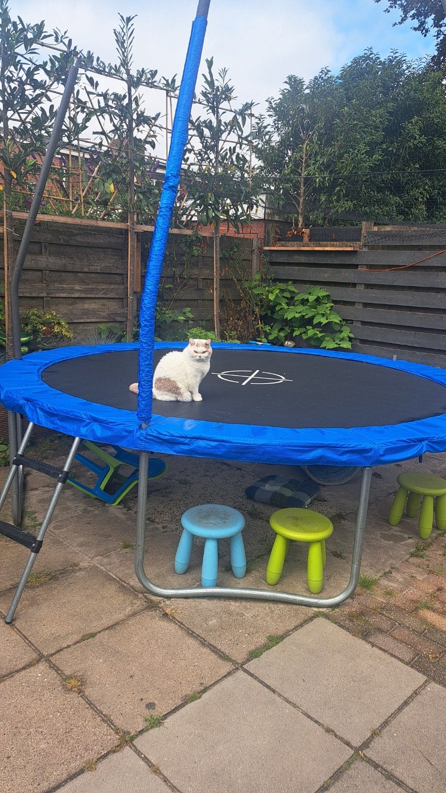 grote trampoline 305cm, Kinderen en Baby's, Speelgoed | Buiten | Trampolines, Ophalen