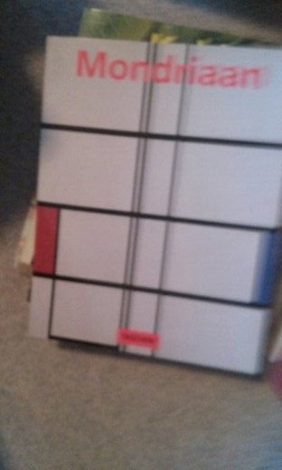 Boek - 58 - Mondriaan, Ophalen of Verzenden, Zo goed als nieuw