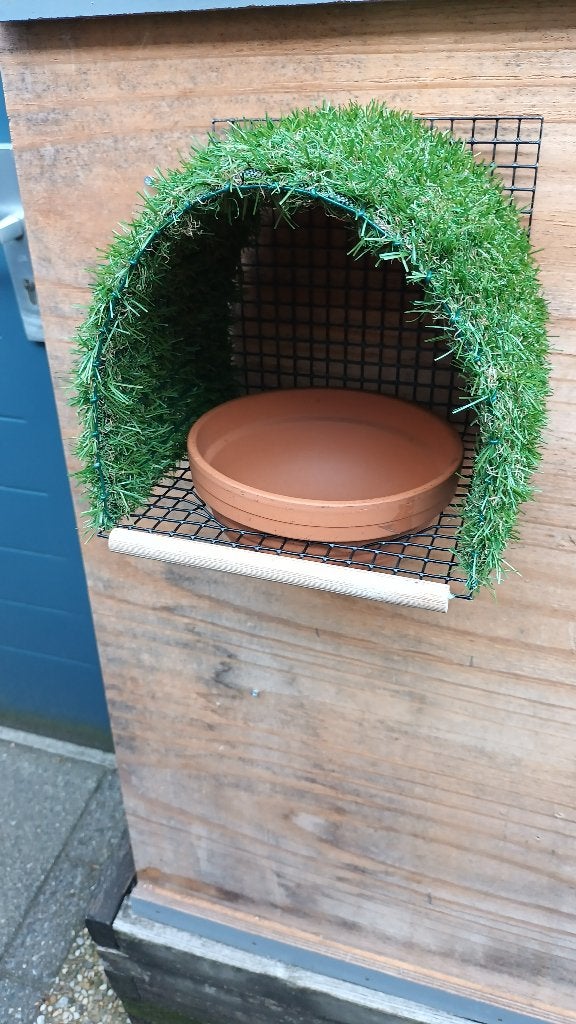putter nestkasten, Dieren en Toebehoren, Geslacht onbekend, Wildzangvogel