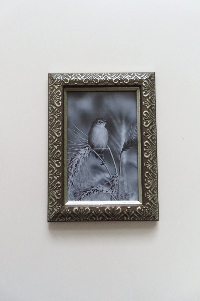 Fotolijst Bol Motiefrand (4882), Ophalen of Verzenden, Zo goed als nieuw, Portrait en Landscape, Zilver