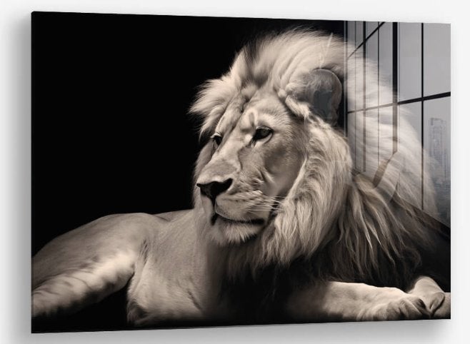 Glasschilderij Lion Love 80x120 - Gehard glas, Ophangklaar, Glas, Ophalen of Verzenden, Dieren