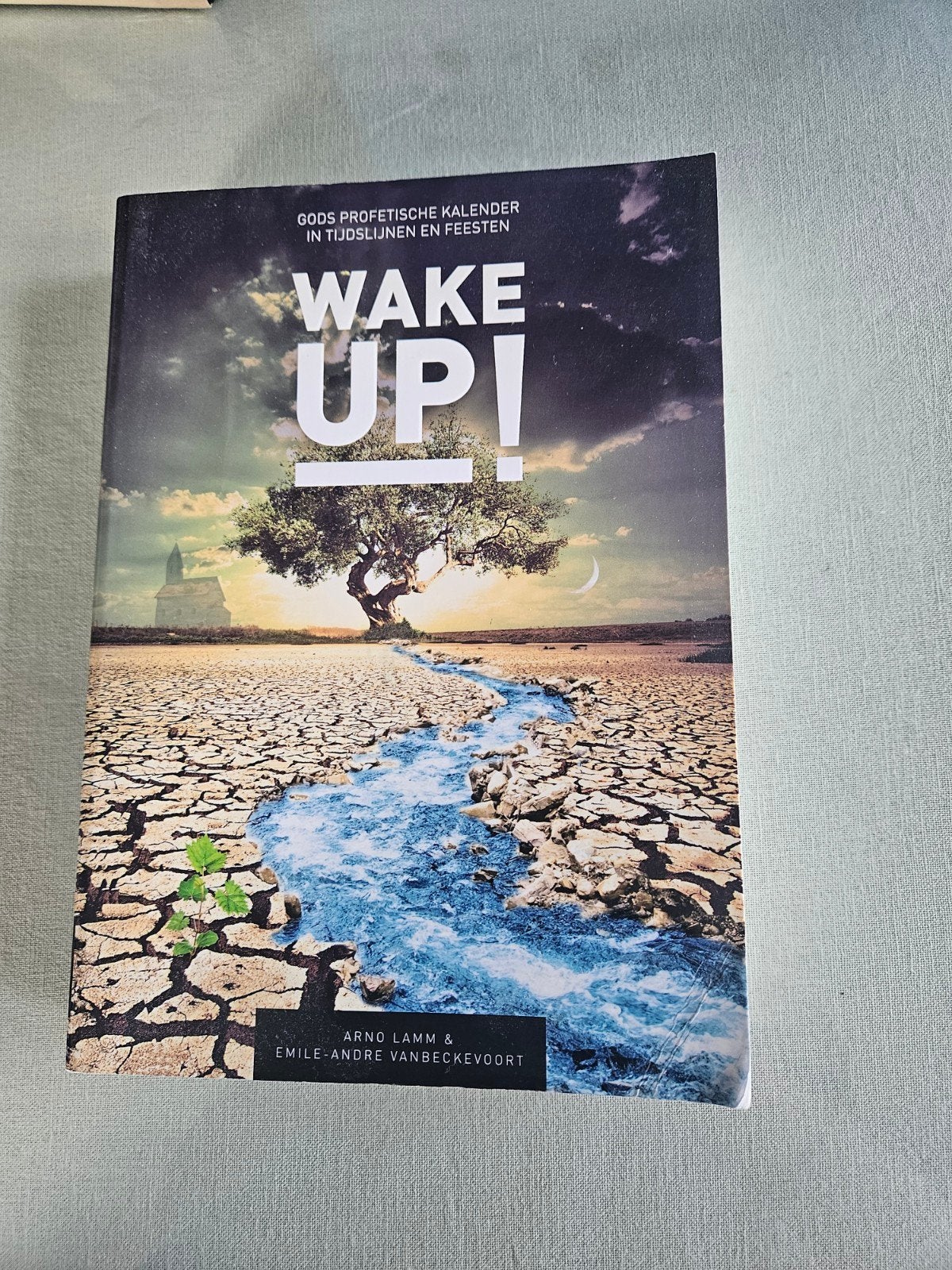 Wake Up! Gods Profetische Kalender in Tijdslijnen en Feesten, Ophalen of Verzenden, Gelezen, Christendom | Protestants