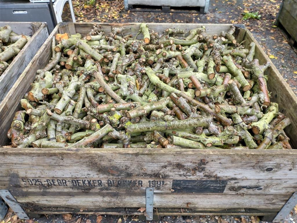 perenhout voor vuurkorf of kachel, 6 m³ of meer, Ophalen, Overige houtsoorten, Blokken