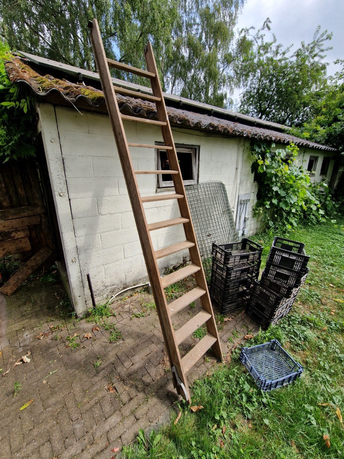 Houten ladder - lang, Doe-het-zelf en Verbouw, Ladders en Trappen, Ophalen, Gebruikt, Ladder, 2 tot 4 meter