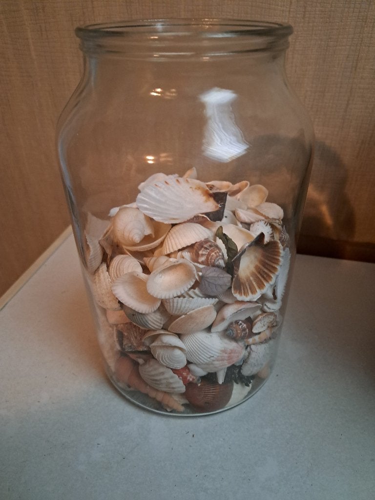 leuke pot met schelpen, Ophalen of Verzenden, Zo goed als nieuw, Rond, Riet