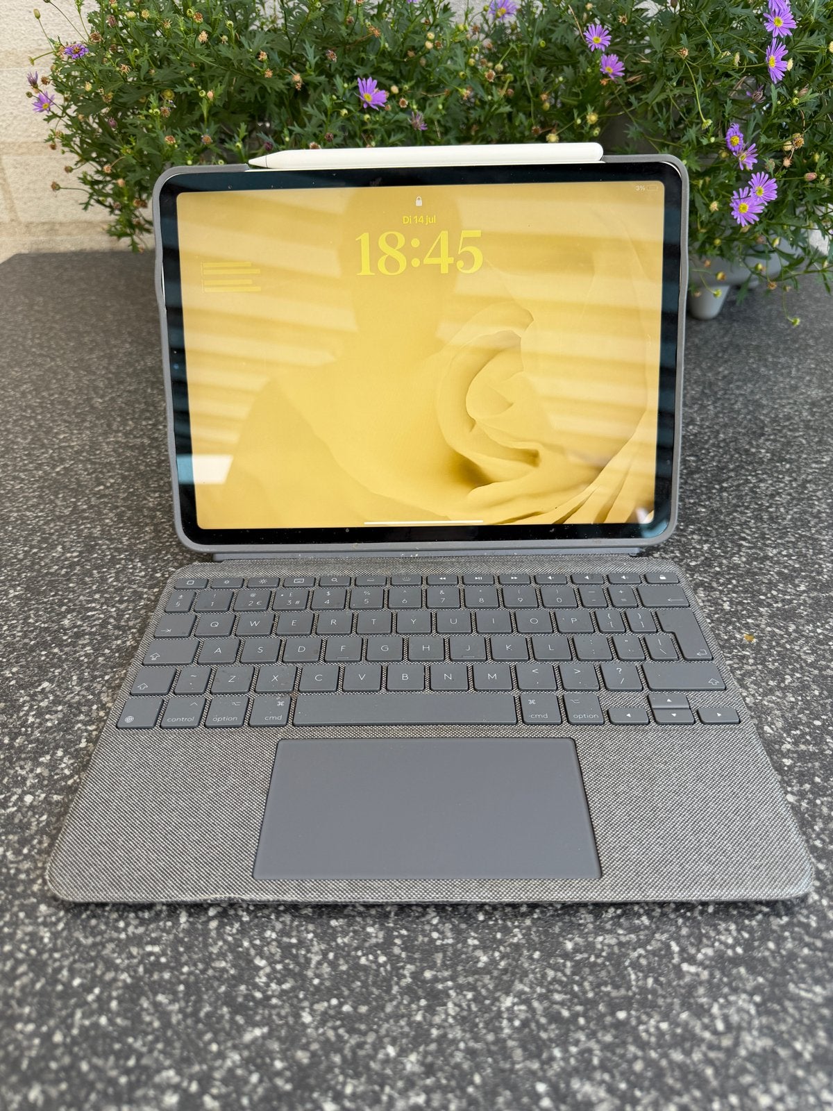 Apple iPad pro 11inch 2TB, ligitech hoes, Apple pencil, Computers en Software, Apple iPads, Zo goed als nieuw, Apple iPad Pro
