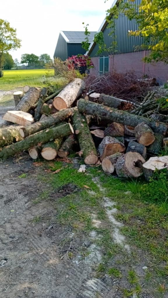 Haardhout, Tuin en Terras, 3 tot 6 m³, Ophalen, Overige houtsoorten, Stammen