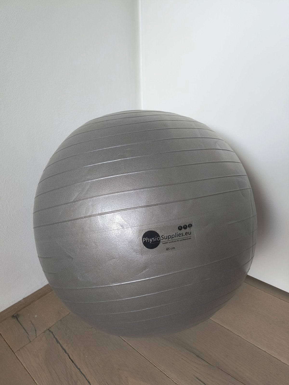 Fitnessbal 65 cm van PhysioSupplies, Ophalen of Verzenden, Zo goed als nieuw, Buik, Fitnessbal
