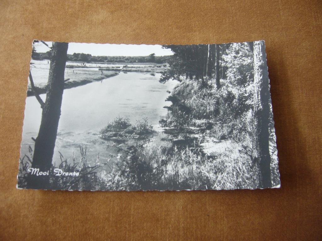 MOOI DRENTE, Ophalen of Verzenden, 1940 tot 1960, Gelopen, Zuid-Holland