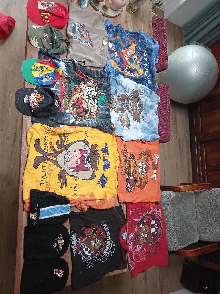 Tazmania looney tunes warner bros t-shirt flippo etc vintage, Ophalen of Verzenden, Gebruikt