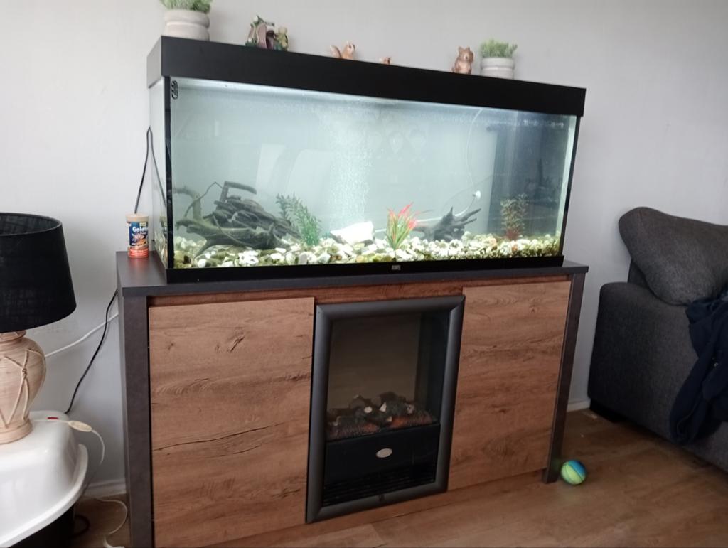 Juwel Aquarium, Dieren en Toebehoren, Ophalen, Leeg aquarium