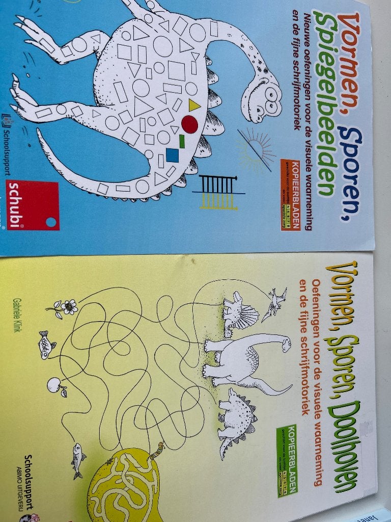 Vormen, sporen, doolhoven en spiegelbeelden (2 items), Onbekend, Zo goed als nieuw, Beta, HBO