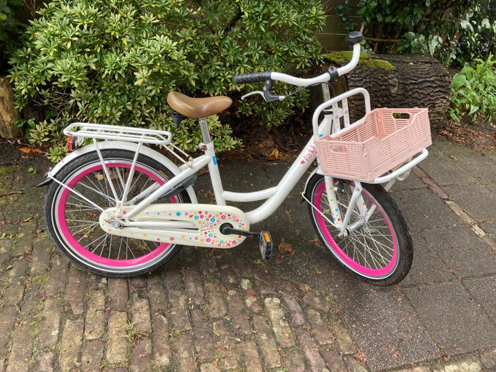 Kinderfiets 20 inch, Ophalen, Terugtraprem, Gebruikt, Handrem