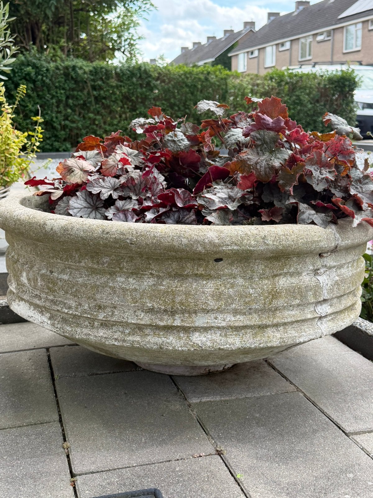 Vintage betonnen plantenschaal Ø 70cm, Tuin en Terras, Ophalen, Zo goed als nieuw, Rond, Minder dan 30 cm
