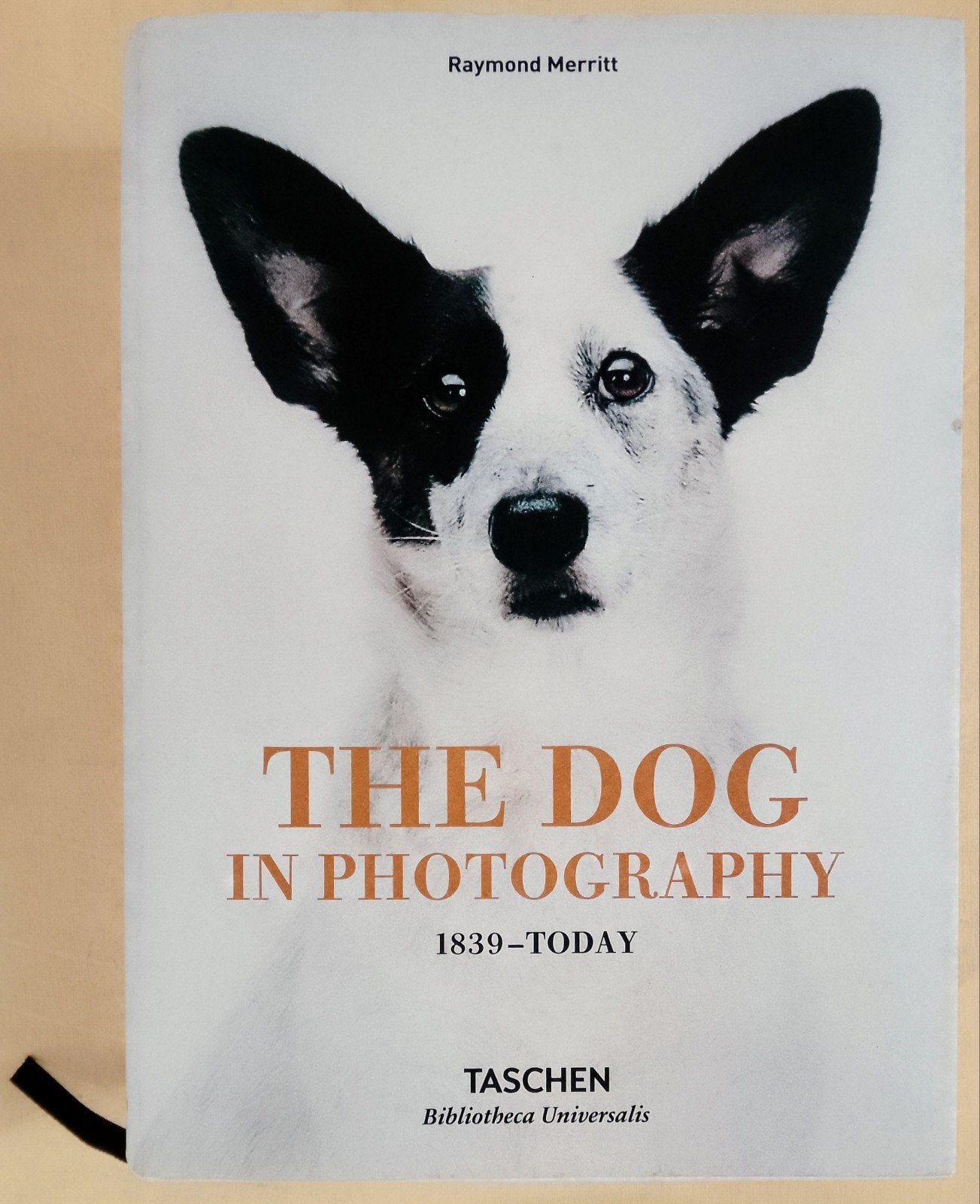 The Dog in Photography 1839-Today - hardcover, Boeken, Ophalen of Verzenden, Zo goed als nieuw, Fotografie algemeen, Raymond Merritt