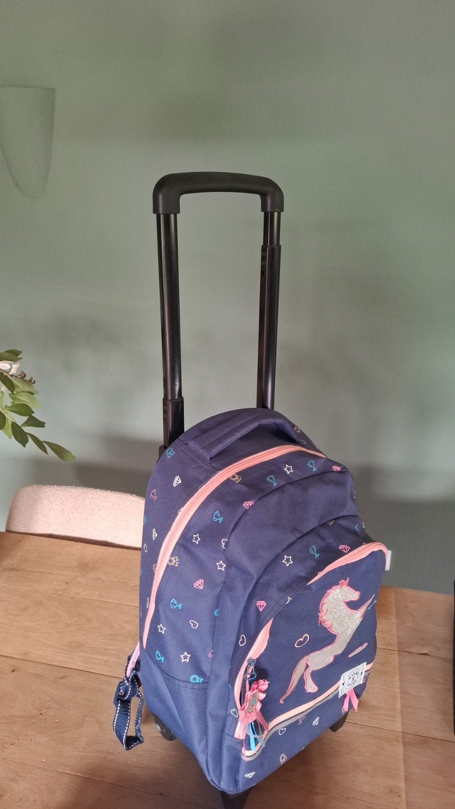 Trolley tas goede staat, Ophalen, Zo goed als nieuw, 30 cm of meer