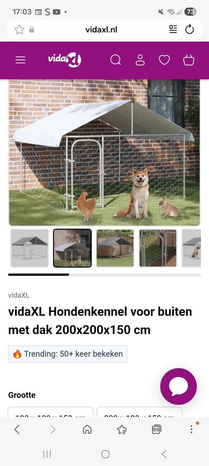Hondenkennel met dak, Ophalen of Verzenden