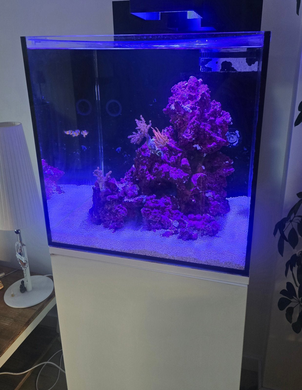Aqua Medic Qubicus Qube || Met techniek!, Ophalen, Gebruikt, Leeg aquarium