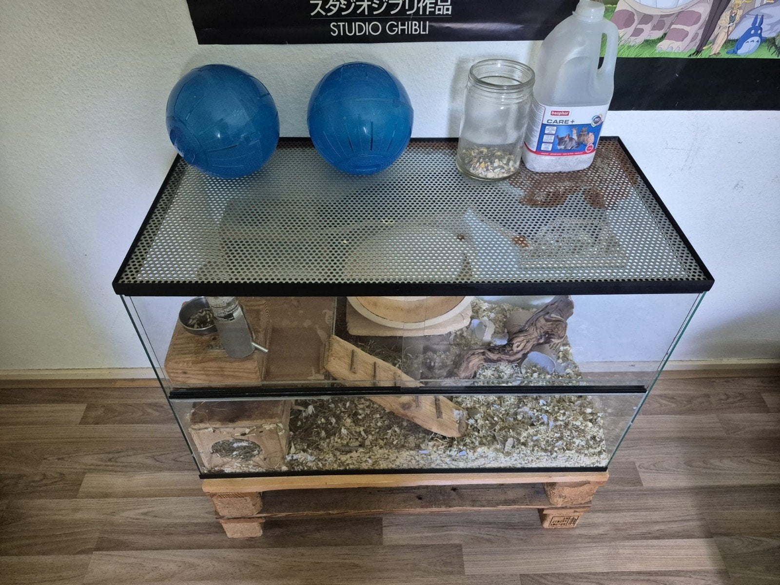 Gerbilhok gerbil terrarium met 2 gerbils, Dieren en Toebehoren, Knaagdieren en Konijnen | Hokken en Kooien, Gebruikt, Hok, 75 tot 110 cm