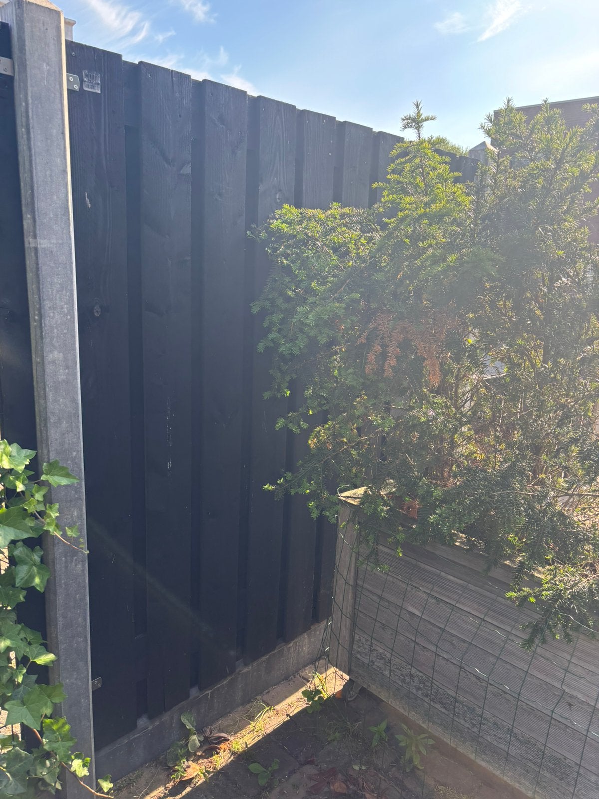 Degelijke Douglas-schutting met betonpalen, Ophalen, 6 meter of meer, Hout, 1 tot 2 meter