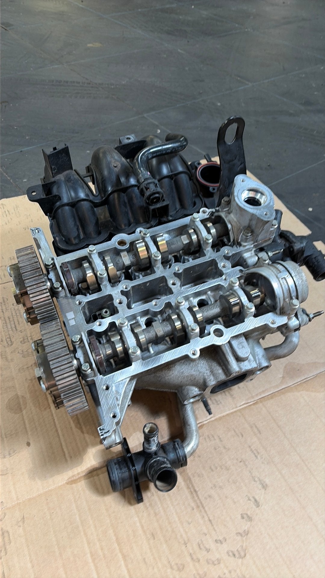 Gereviseerde Cilinderkop Ford 1.0, Ophalen, Nieuw, Ford