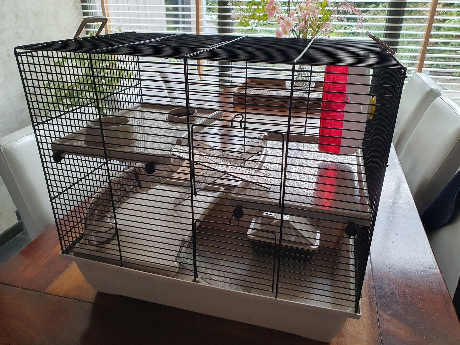 Kooi met accessoires te koop, Kooi, Minder dan 75 cm, Zo goed als nieuw, Hamster