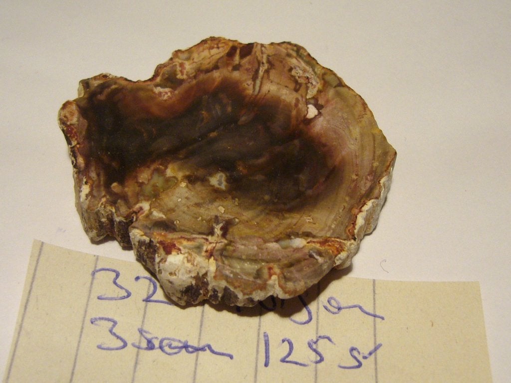 versteend hout schijf 3 voor 12,95 petrified wood 32 of 48gr, Ophalen of Verzenden, Zo goed als nieuw