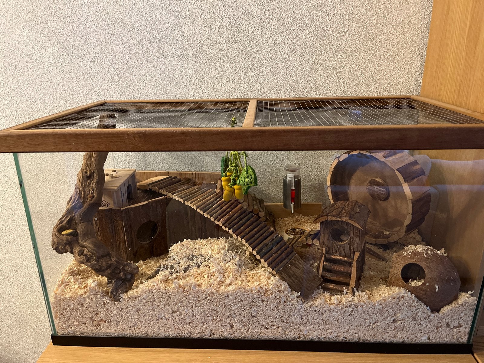 Hamsterhok (terrarium/aquarium) 80x40 inclusief reismandje, Gebruikt, Hok, Hamster, 75 tot 110 cm