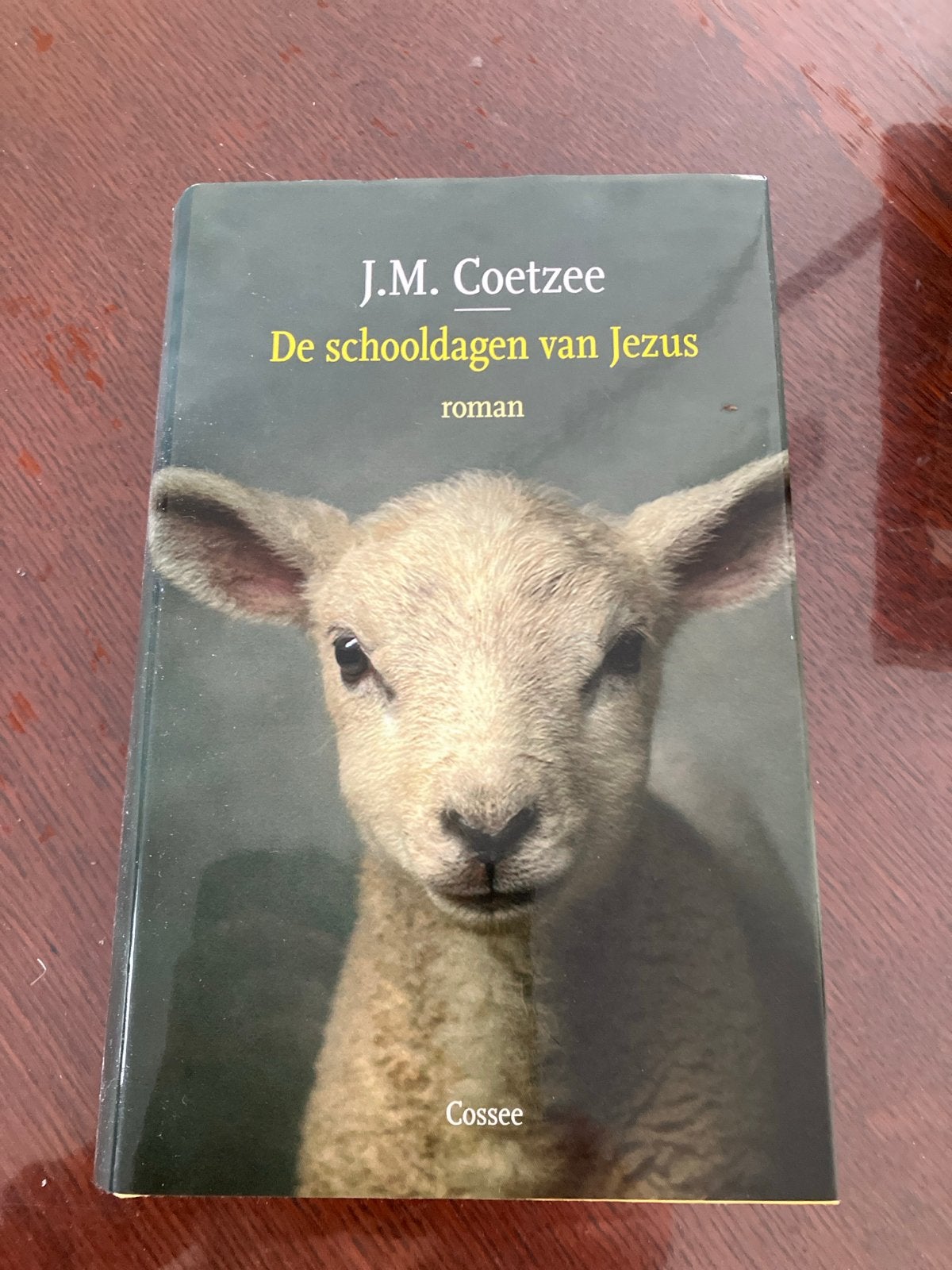 J.M. Coetzee - De schooldagen van Jezus (roman), Ophalen of Verzenden, Zo goed als nieuw